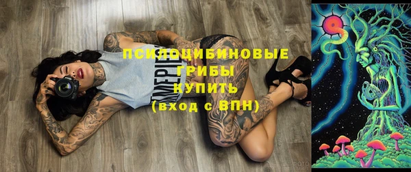 бошки Балахна
