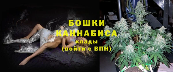 бошки Балахна