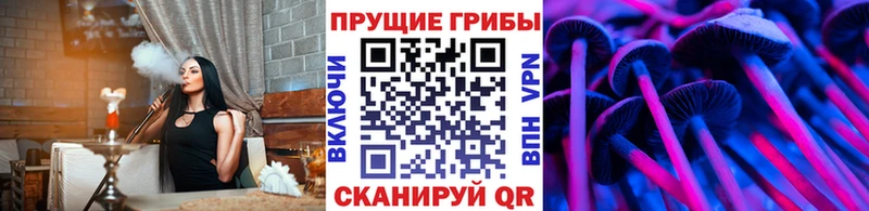 Псилоцибиновые грибы Cubensis  Богучар 